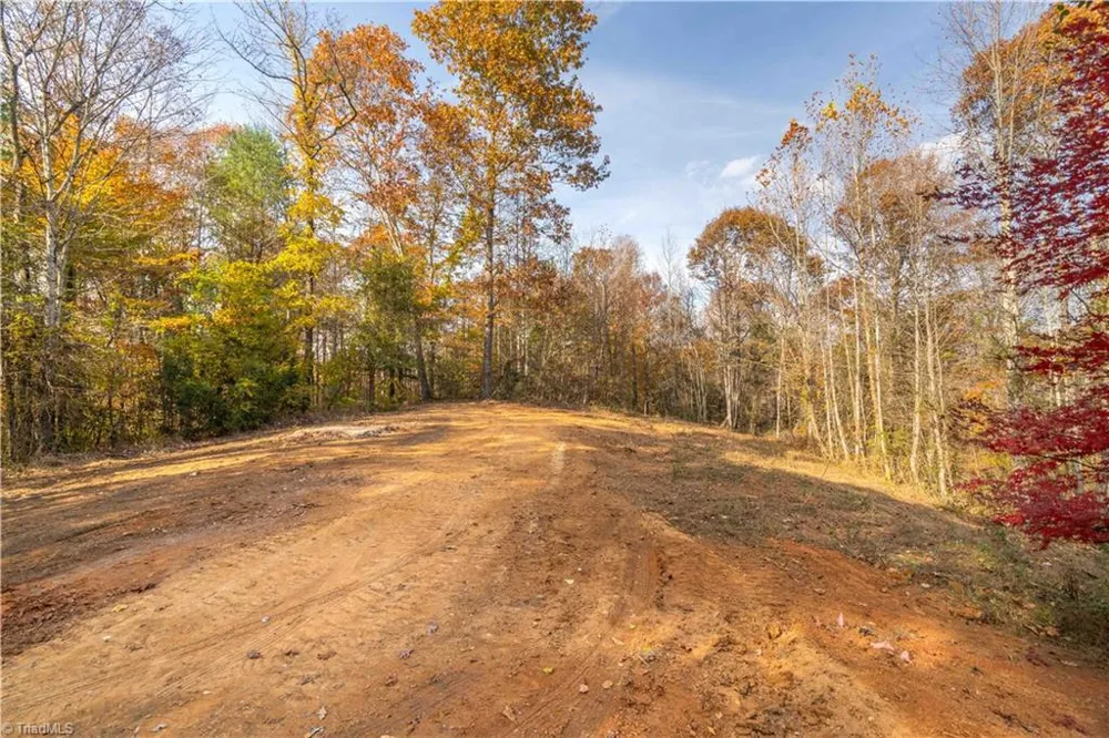 1165 Dehart Community Ctr Road Hays, NC 28635