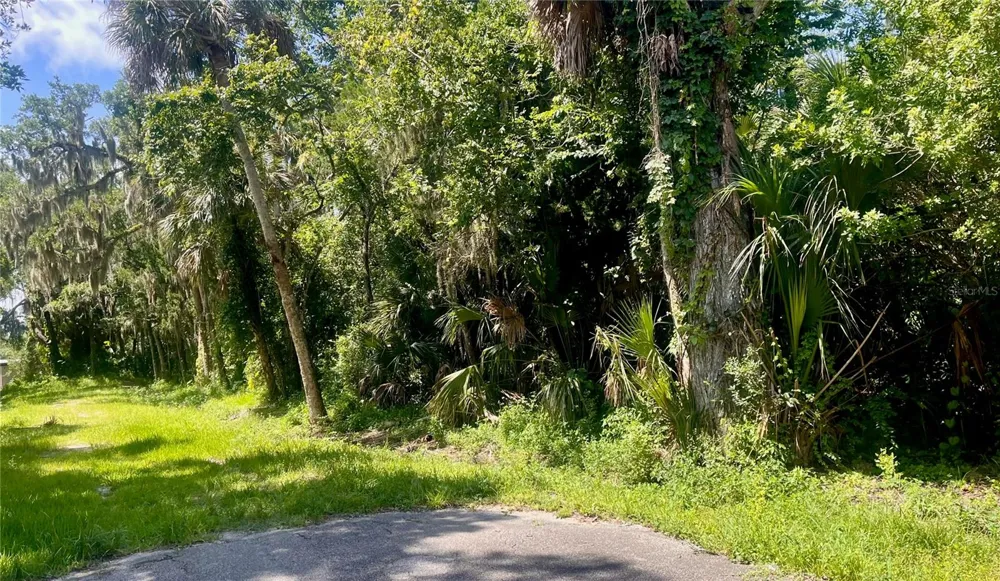 420-428 PALMETTO STREET Edgewater, FL 32132