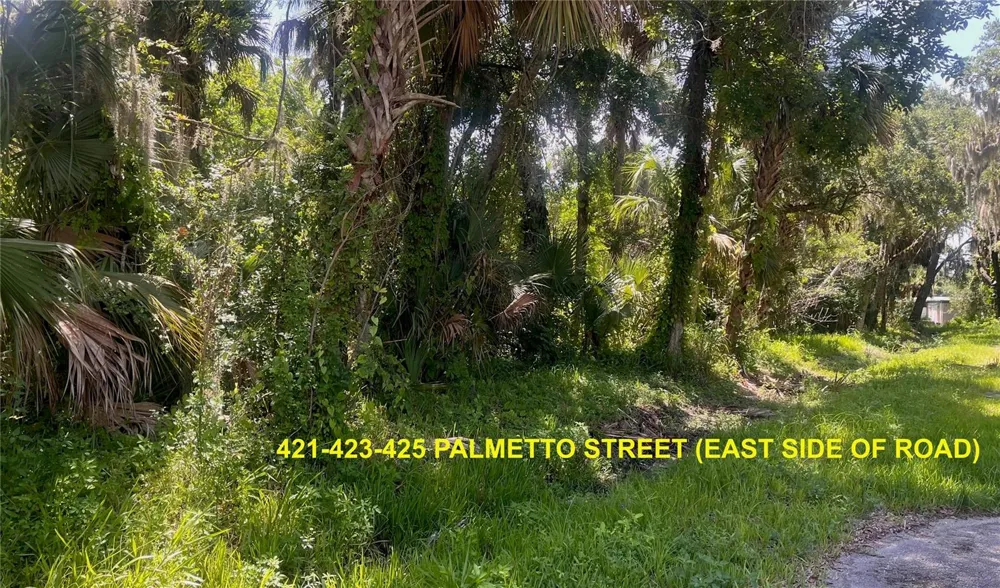 420-428 PALMETTO STREET Edgewater, FL 32132