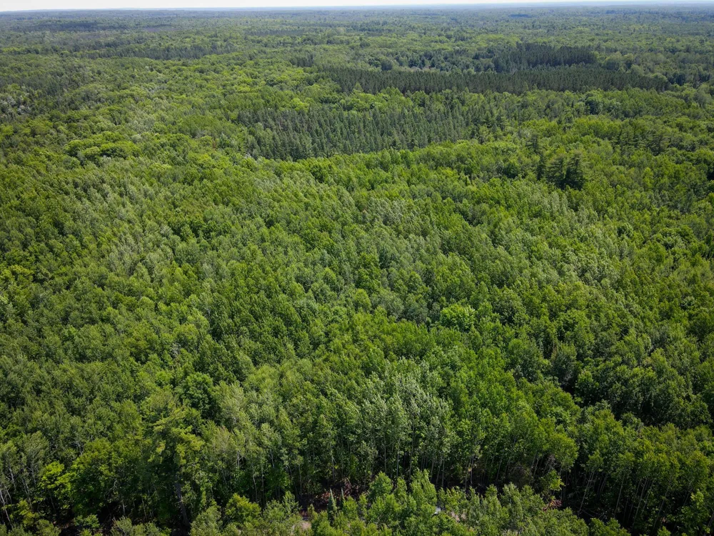 Parcel 6 County Road A Solon Springs, WI 54873