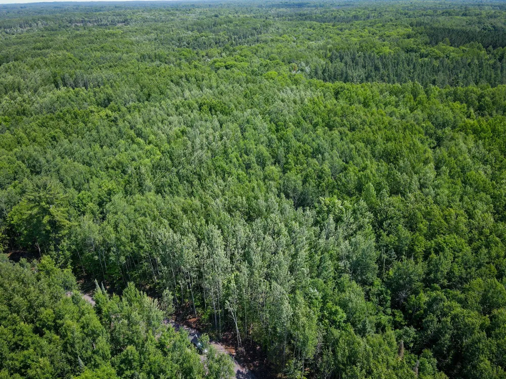 Parcel 6 County Road A Solon Springs, WI 54873