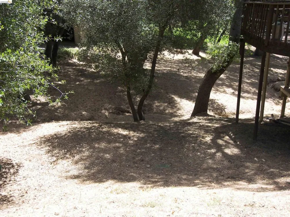 19215 Ferretti Rd. Groveland, CA 95321