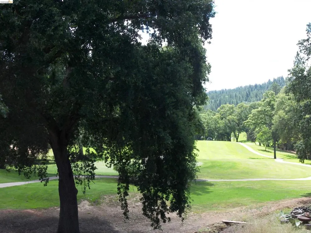 19215 Ferretti Rd. Groveland, CA 95321