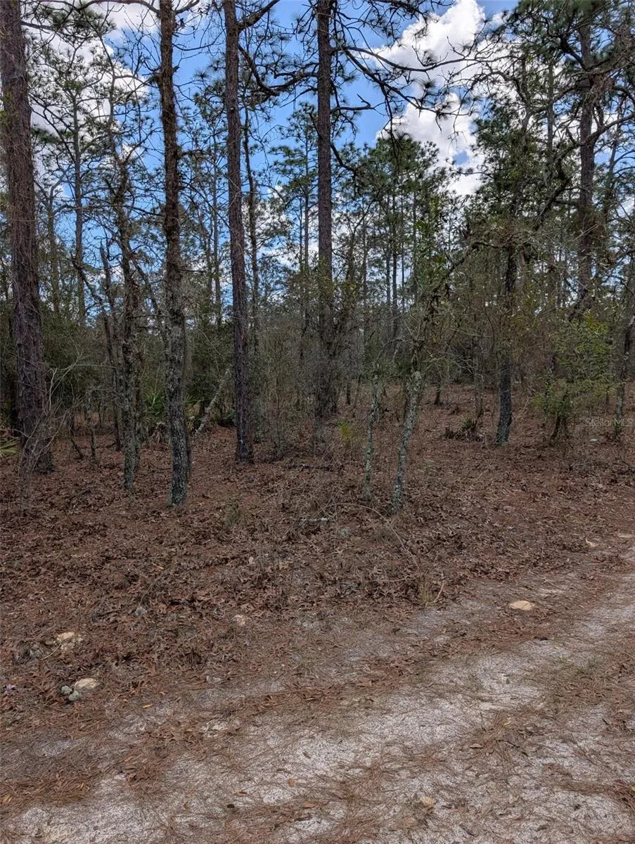 0 SW 90TH STREET Dunnellon, FL 34432