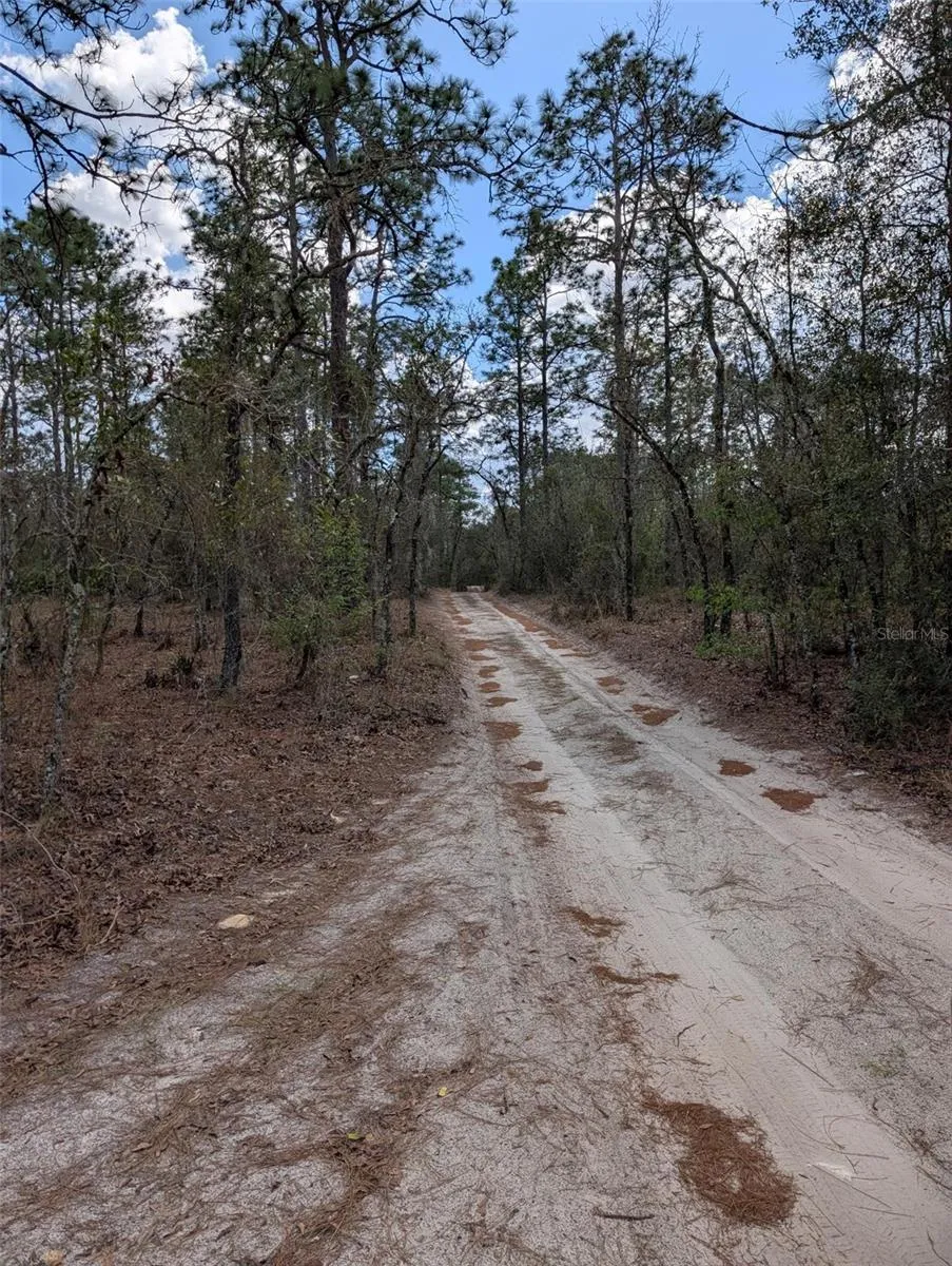 0 SW 90TH STREET Dunnellon, FL 34432