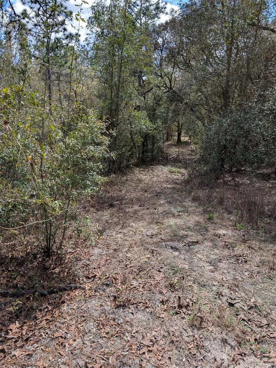 0 SW 90TH STREET Dunnellon, FL 34432