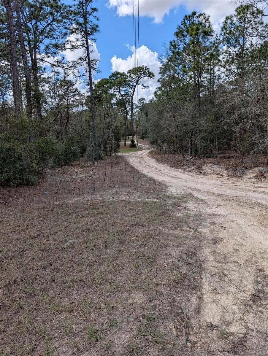 0 SW 90TH STREET Dunnellon, FL 34432