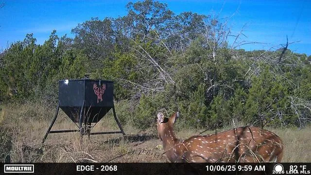 TBD SD 45730 Rocksprings, TX 78880
