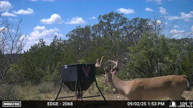 TBD SD 45730 Rocksprings, TX 78880