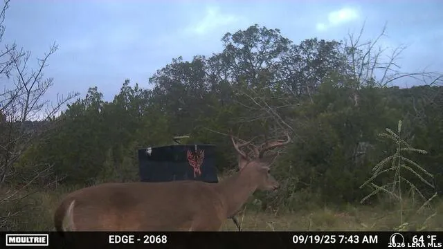 TBD SD 45730 Rocksprings, TX 78880