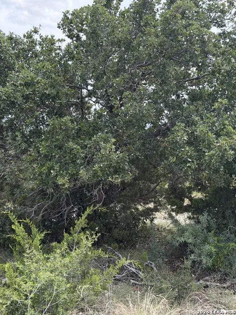 TBD SD 45730 Rocksprings, TX 78880