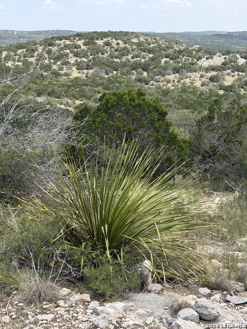 TBD SD 45730 Rocksprings, TX 78880