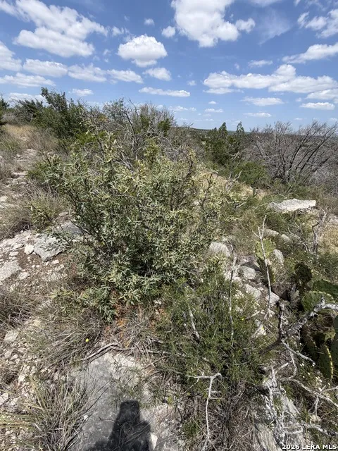 TBD SD 45730 Rocksprings, TX 78880