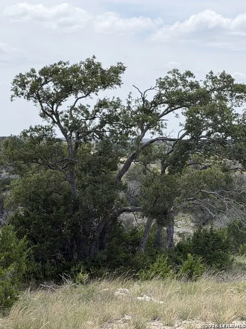 TBD SD 45730 Rocksprings, TX 78880