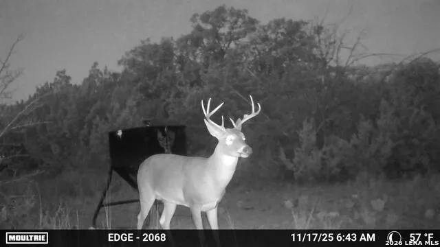 TBD SD 45730 Rocksprings, TX 78880