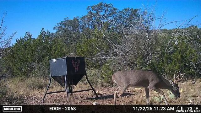 TBD SD 45730 Rocksprings, TX 78880