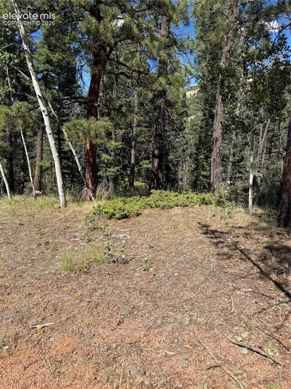 1007 Derby Drive Cripple Creek, CO 80813