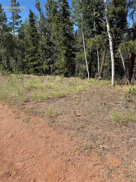 1007 Derby Drive Cripple Creek, CO 80813