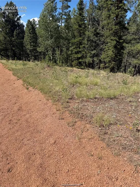 1007 Derby Drive Cripple Creek, CO 80813