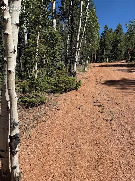 1007 Derby Drive Cripple Creek, CO 80813