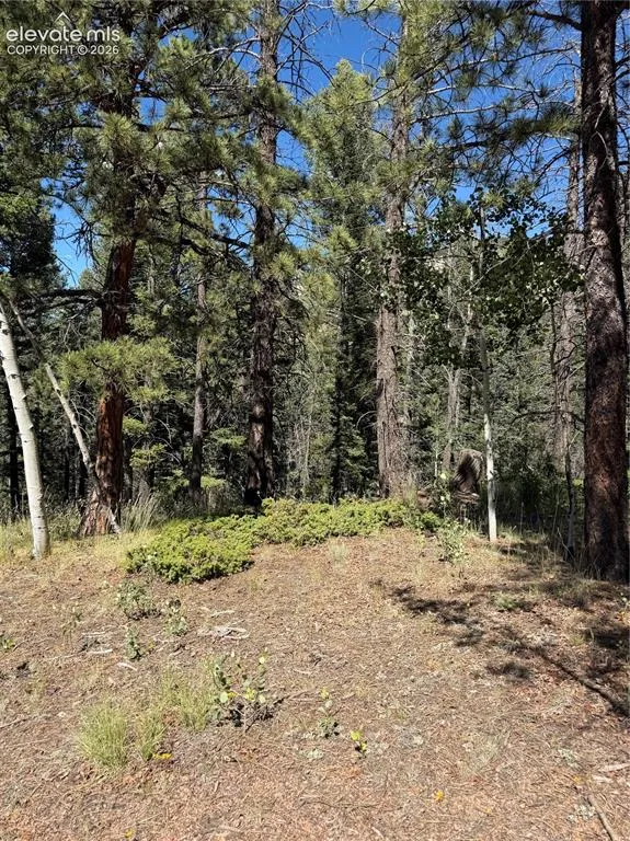 1007 Derby Drive Cripple Creek, CO 80813
