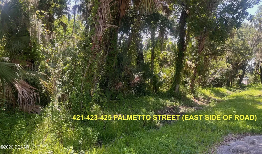 428 Palmetto Street New Smyrna Beach, FL 32168
