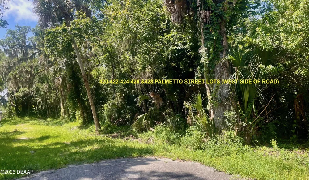 428 Palmetto Street New Smyrna Beach, FL 32168