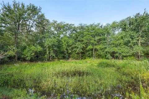 5163 County Road 358