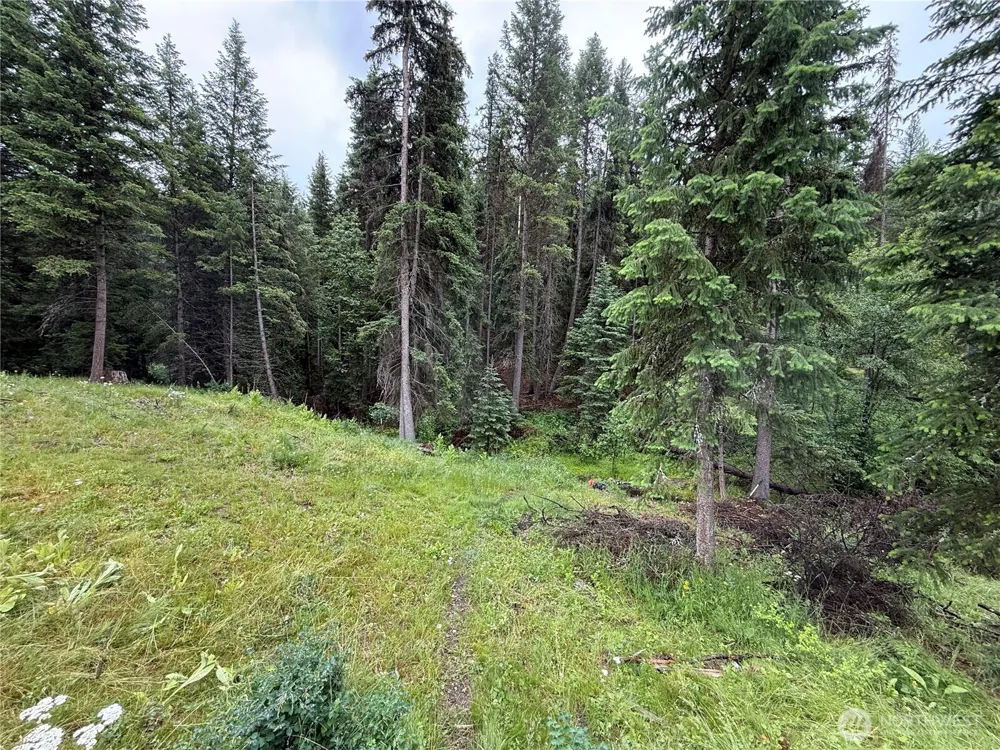 154 W Cougar Creek Road Wauconda, WA 98859