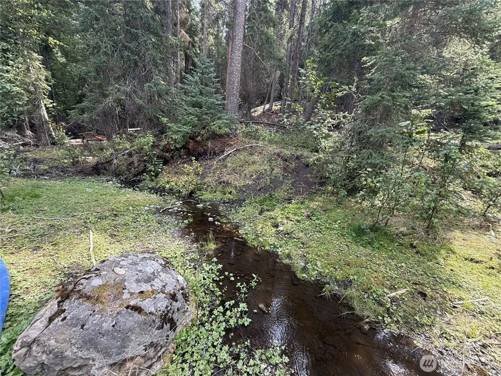 154 W Cougar Creek Road Wauconda, WA 98859