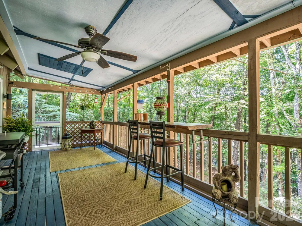 2760 Ugugu Drive Brevard, NC 28712