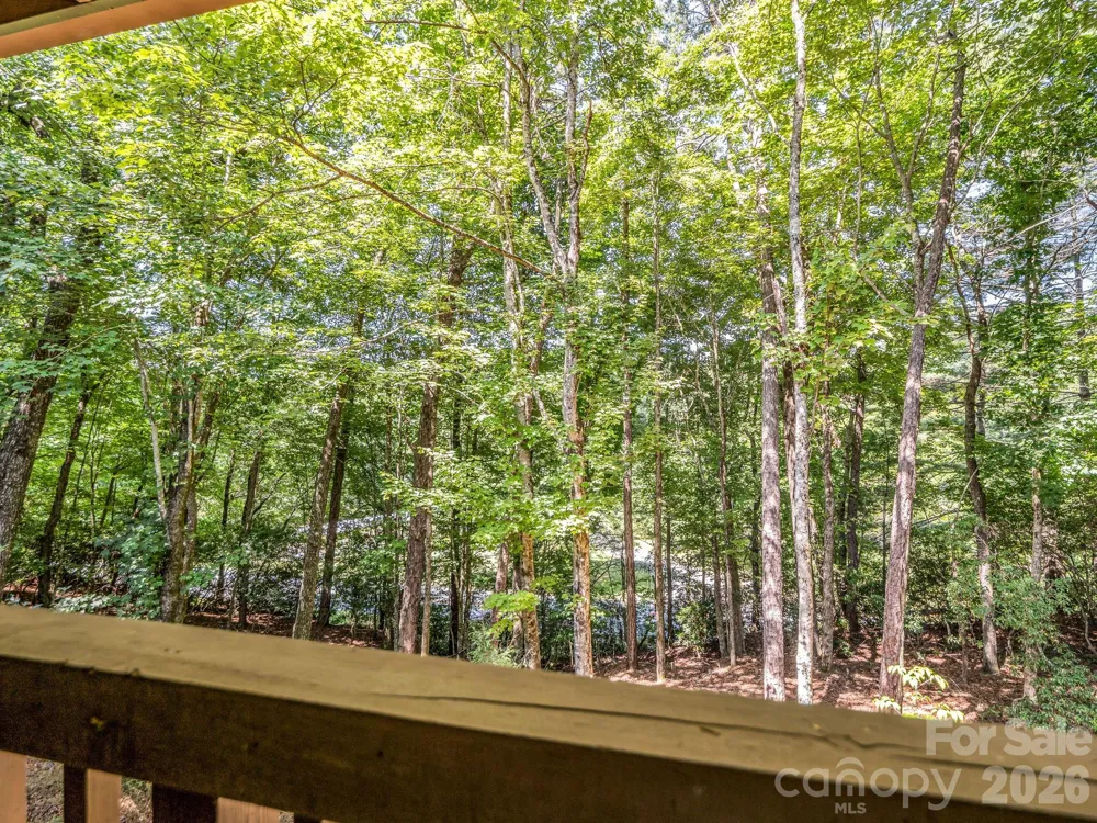 2760 Ugugu Drive Brevard, NC 28712
