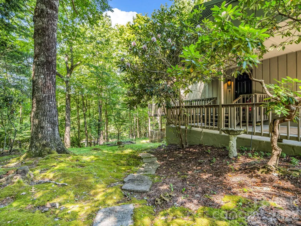 2760 Ugugu Drive Brevard, NC 28712