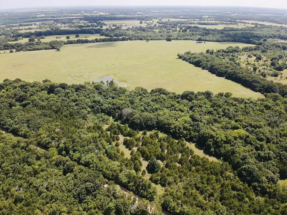 CR 27300 Roxton, TX 75477