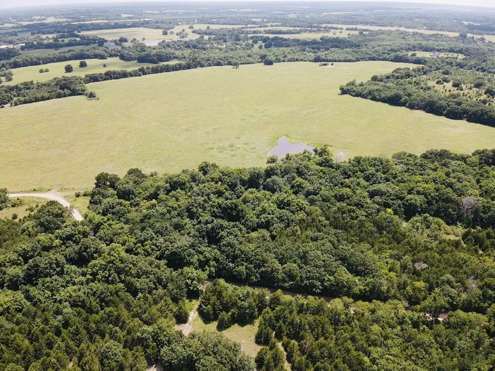 CR 27300 Roxton, TX 75477