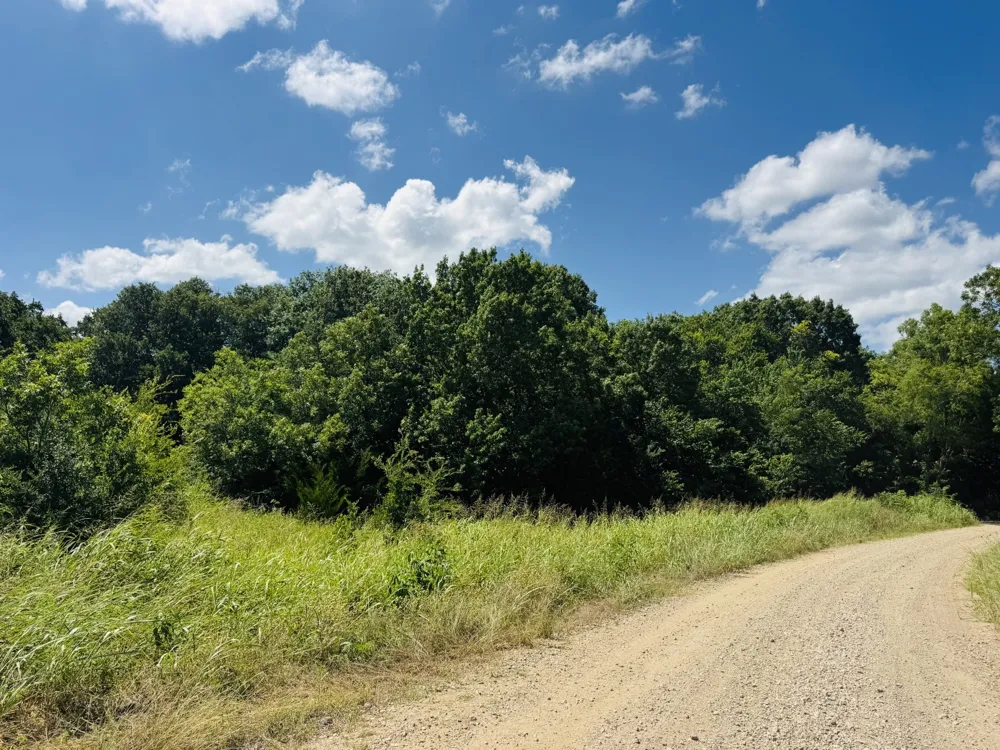 CR 27300 Roxton, TX 75477