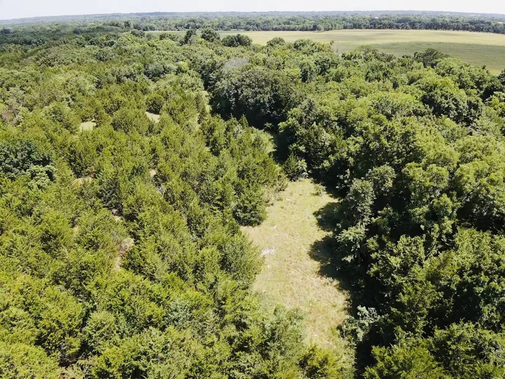 CR 27300 Roxton, TX 75477