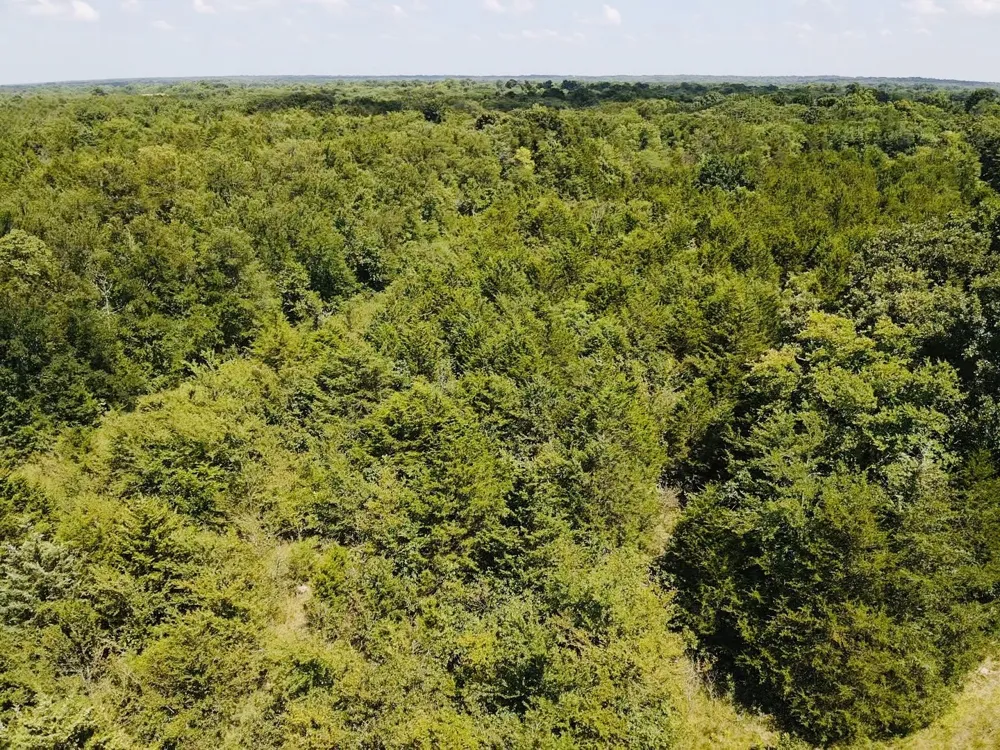 CR 27300 Roxton, TX 75477