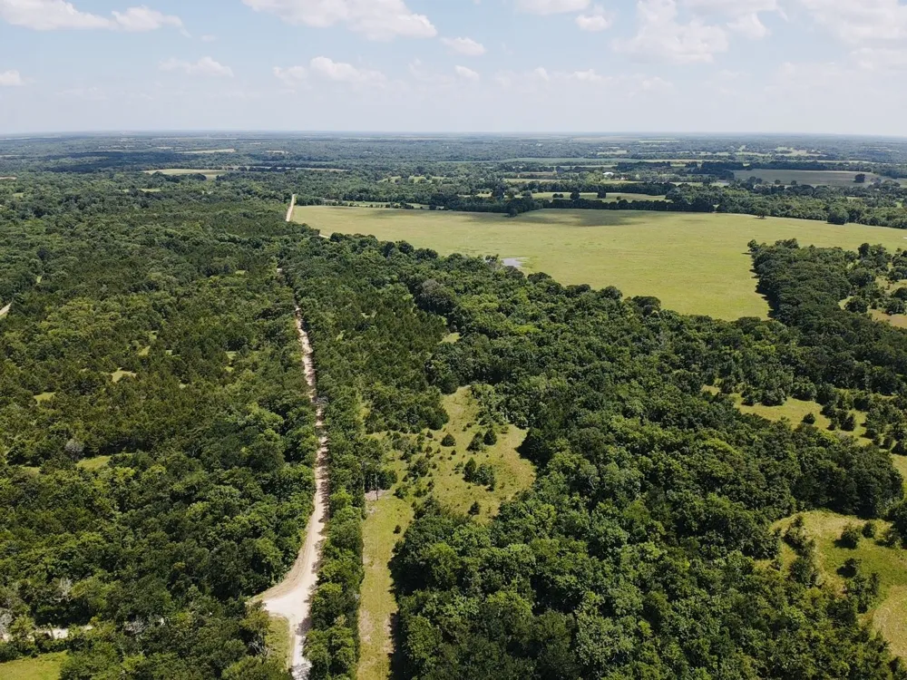 CR 27300 Roxton, TX 75477