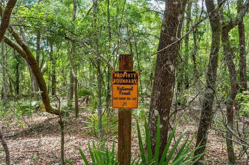 SE 152ND - LOT 17 (RAVENSWOOD RD) PARCEL C PLACE Altoona, FL 32702