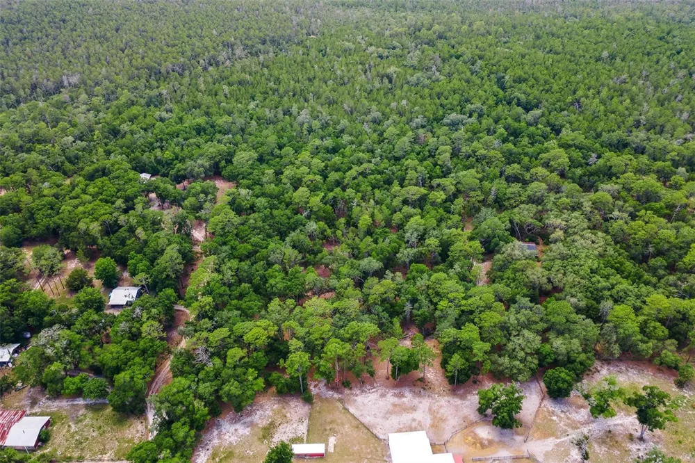 SE 152ND - LOT 17 (RAVENSWOOD RD) PARCEL C PLACE Altoona, FL 32702