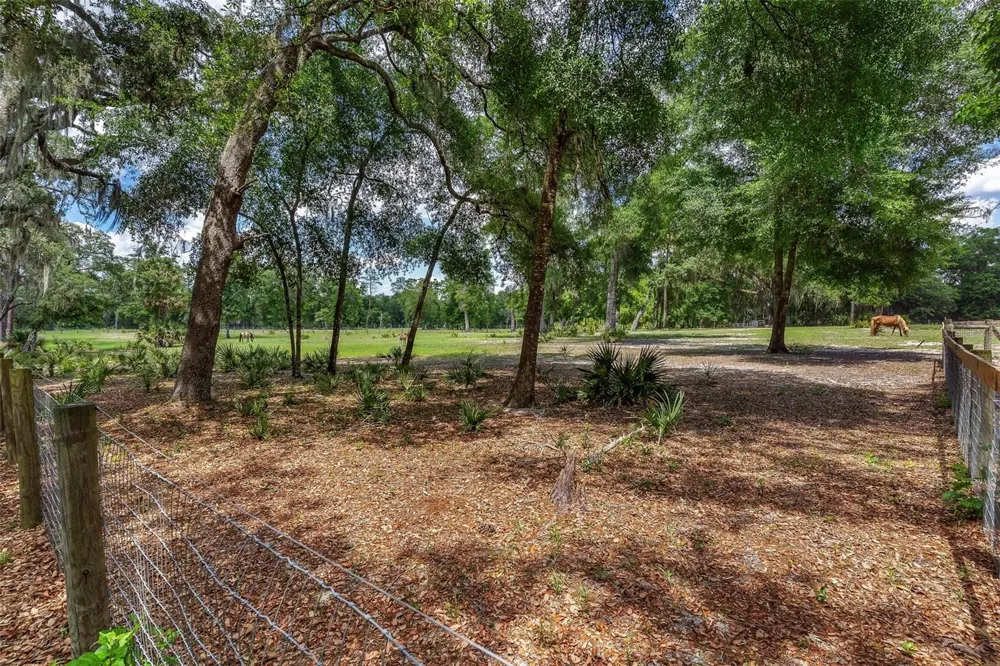 SE 152ND - LOT 17 (RAVENSWOOD RD) PARCEL C PLACE Altoona, FL 32702