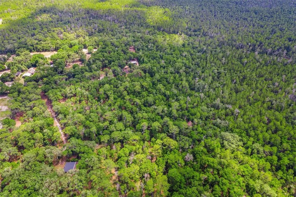 SE 152ND - LOT 17 (RAVENSWOOD RD) PARCEL C PLACE Altoona, FL 32702
