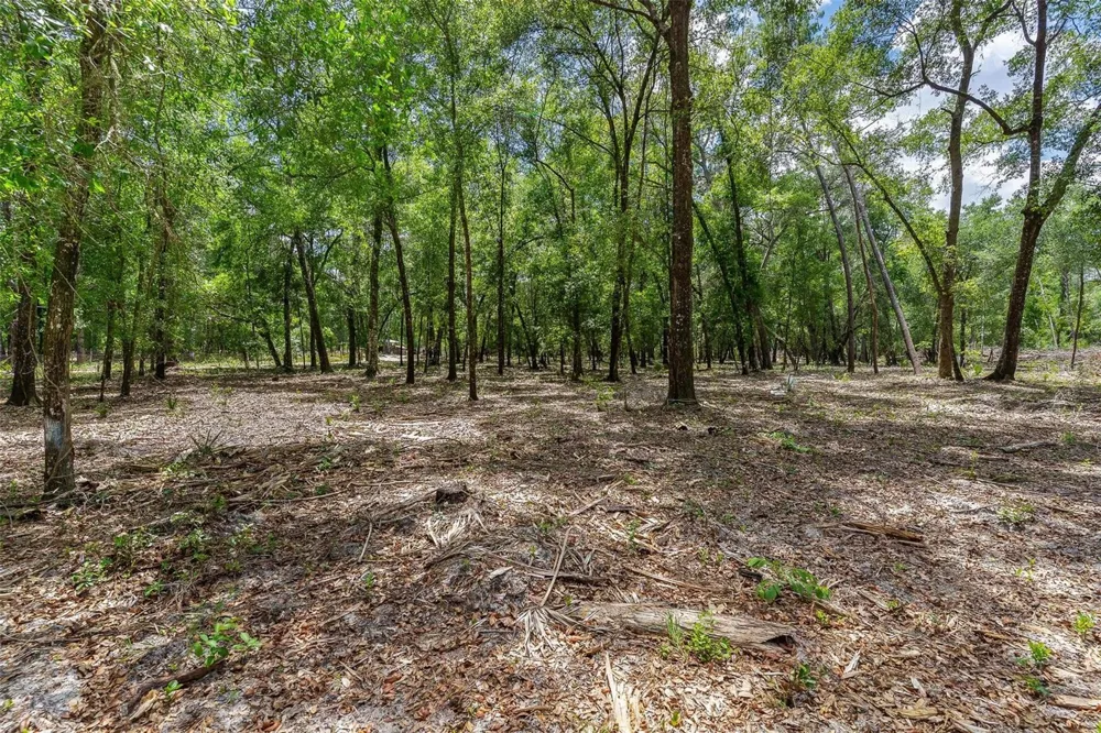 SE 152ND - LOT 17 (RAVENSWOOD RD) PARCEL C PLACE Altoona, FL 32702