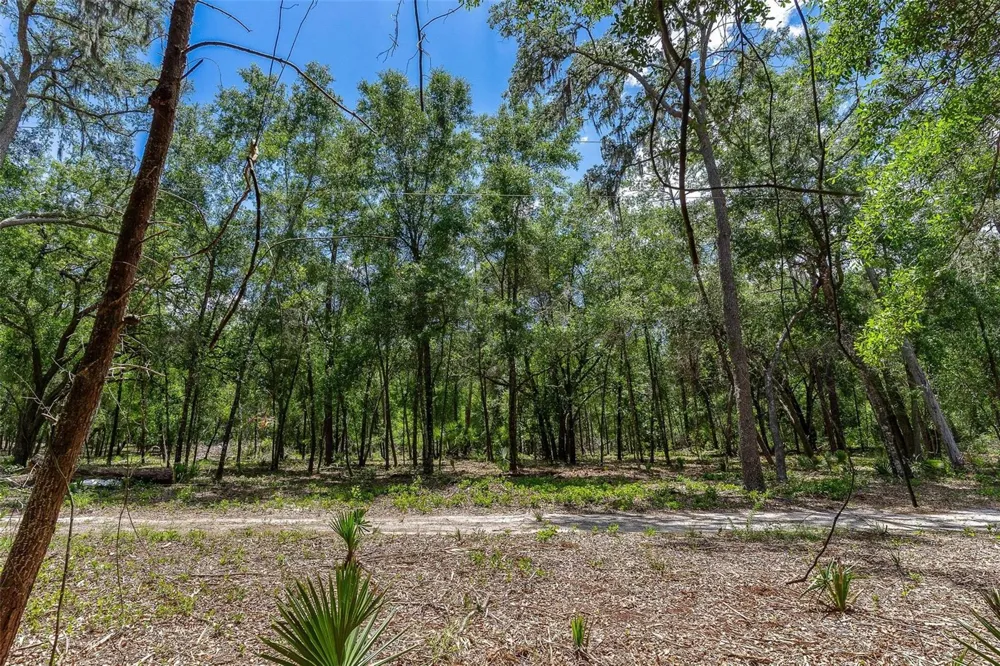 SE 152ND - LOT 17 (RAVENSWOOD RD) PARCEL C PLACE Altoona, FL 32702