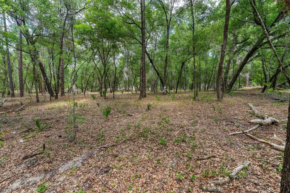 SE 152ND - LOT 17 (RAVENSWOOD RD) PARCEL C PLACE Altoona, FL 32702