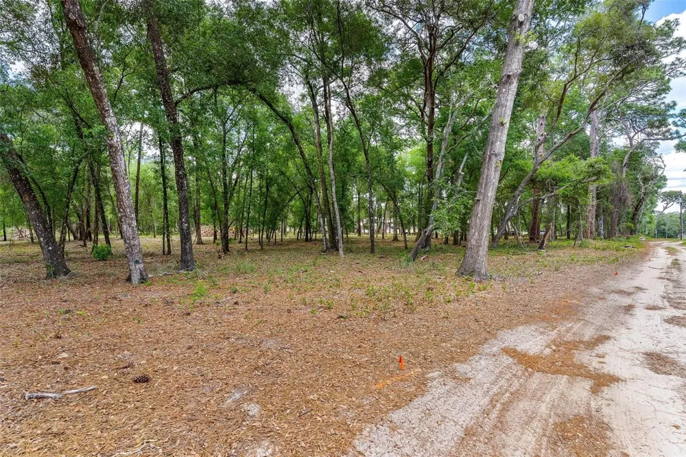 SE 152ND - LOT 17 (RAVENSWOOD RD) PARCEL C PLACE Altoona, FL 32702