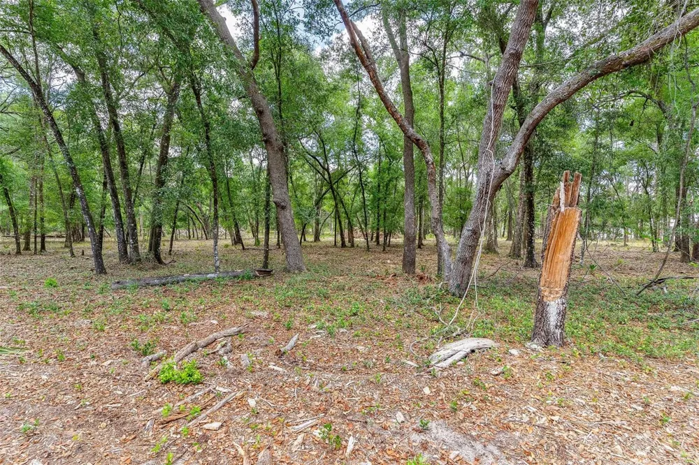 SE 152ND - LOT 17 (RAVENSWOOD RD) PARCEL C PLACE Altoona, FL 32702