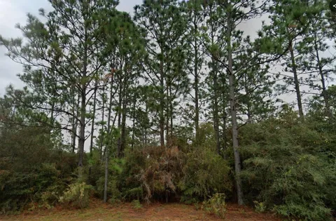 DELTONA BOULEVARD