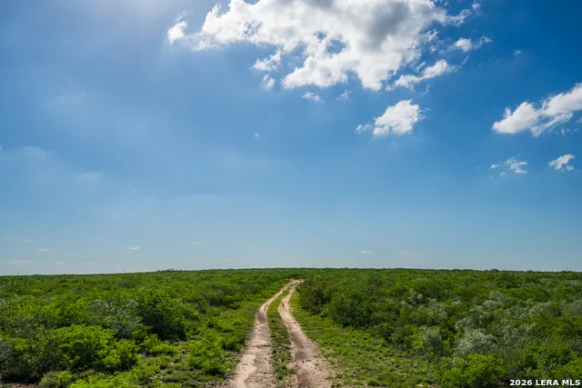 111 Los Lomas Ranch Road Freer, TX 78357
